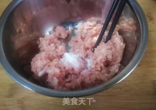 猪肉茴香饺子的做法步骤：2