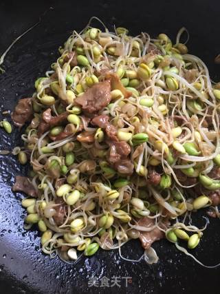 牛肉炒豆芽的做法步骤：9