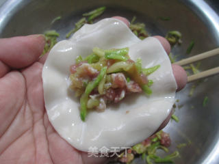 西葫芦肉馅饺子的做法步骤：12