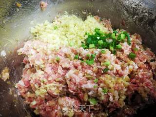 重庆牛肉抄手的做法步骤：2