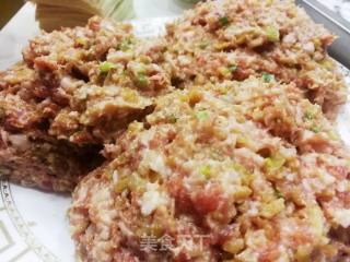 重庆牛肉抄手的做法步骤：3