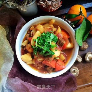 番茄牛肉炖土豆的做法步骤：9