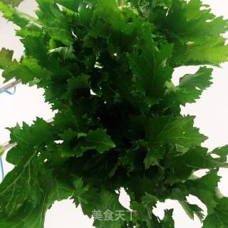 快手炝雪菜的做法步骤：1