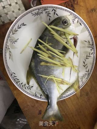 清蒸金锠鱼的做法步骤：1