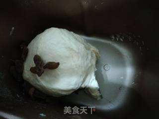 淡奶油葡萄干面包的做法步骤：12