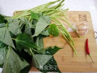 蒜椒番薯叶(地瓜叶)的做法步骤：1