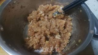 猪肉茴香包子的做法步骤：9