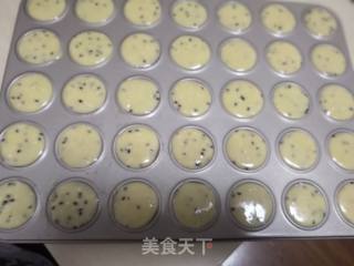 下午茶点心之一鸡蛋黑芝麻饼干的做法步骤：7