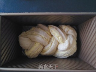 奶酥吐司的做法步骤：18
