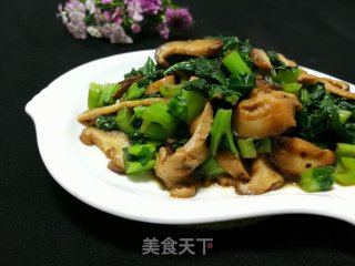 芥菜炒香菇的做法步骤：6