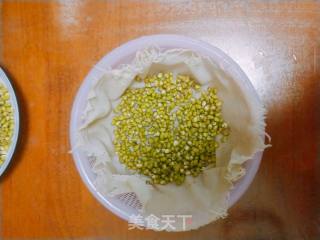 自发绿豆芽的做法步骤：4