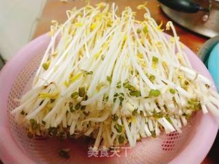 自发绿豆芽的做法步骤：10