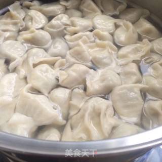 油泼萝卜羊肉饺子的做法步骤：9