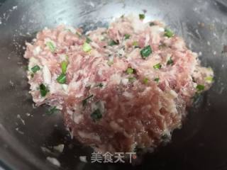 香脆可口，咸甜适中之（肉末梅干菜酥饼）的做法步骤：4