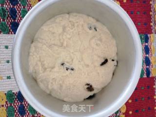 玉米面葡萄干发糕的做法步骤：5
