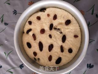玉米面葡萄干发糕的做法步骤：7