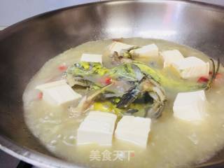 黄鸭叫炖豆腐的做法步骤：4
