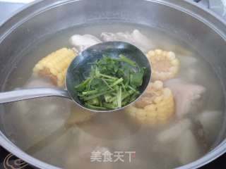 白萝卜玉米猪尾汤的做法步骤：10