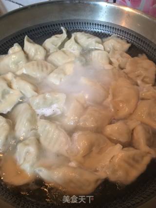 扇贝丁海参饺子的做法步骤：22