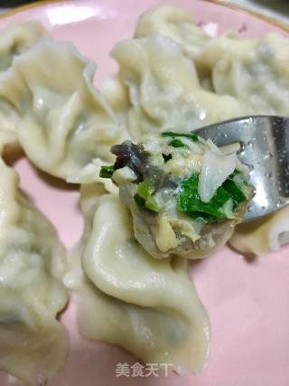 扇贝丁海参饺子的做法步骤：25