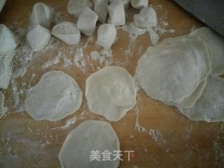 茴香苗猪肉饺子的做法步骤：15