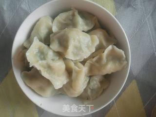 茴香苗猪肉饺子的做法步骤：19