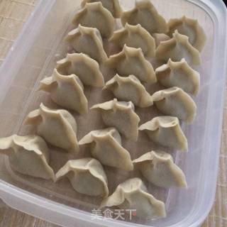 大葱羊肉水饺的做法步骤：9