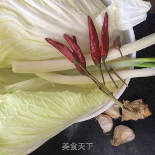 素炒白菜丝的做法步骤：1