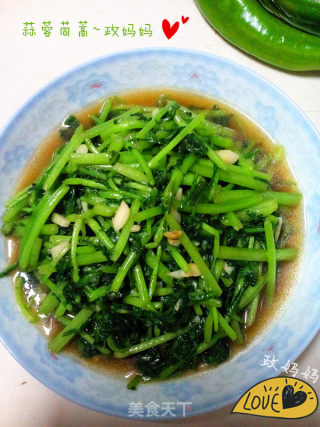 蒜蓉茼蒿的做法步骤：7