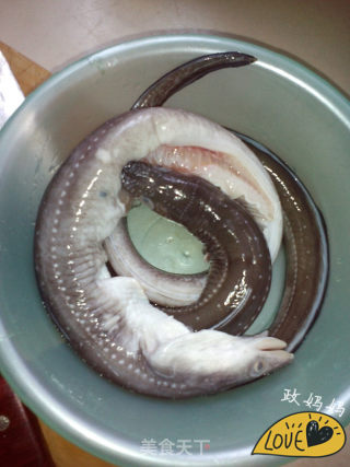 红烧鳗鱼的做法步骤：1