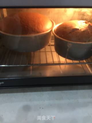 可可戚风蛋糕的做法步骤：12