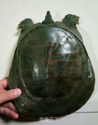 红煨甲鱼的做法步骤：1