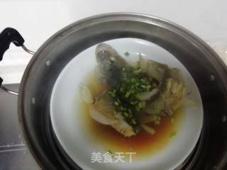 清蒸鲈鱼的做法步骤：5