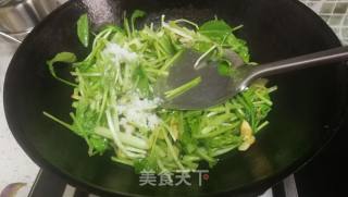 蒜蓉鸡毛菜的做法步骤：5