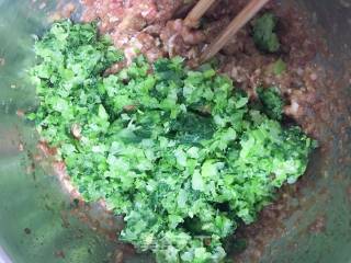 芹菜猪肉水饺的做法步骤：5
