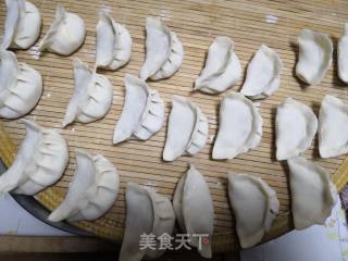 白菜猪肉饺子的做法步骤：15