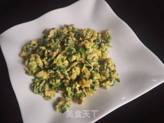 芹菜叶炒鸡蛋的做法步骤：10