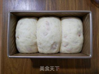 如何做出好吃看得见的红薯吐司的做法步骤：15