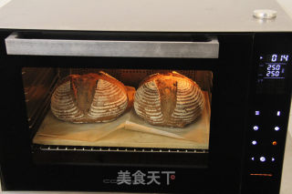 黑麦啤酒欧包的做法步骤：13