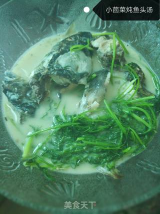 小茴菜鱼头汤的做法步骤：7