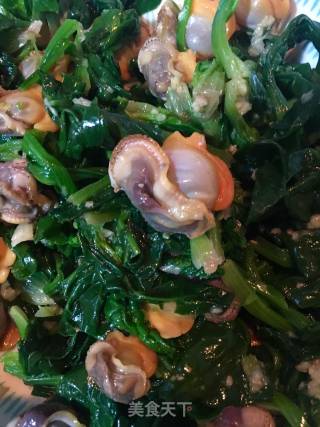 菠菜拌毛蚶的做法步骤：21