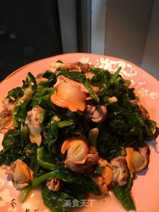 菠菜拌毛蚶的做法步骤：23