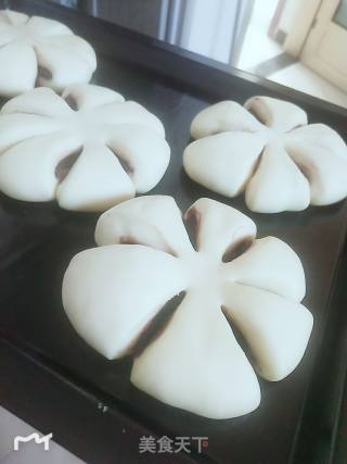淡奶油豆沙包的做法步骤：11