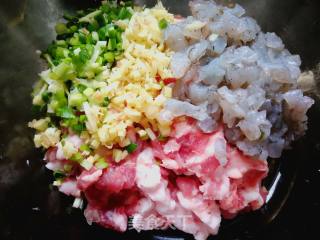 #团圆饭#鲜虾大肉馄饨的做法步骤：5