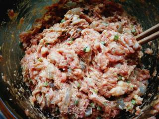 #团圆饭#鲜虾大肉馄饨的做法步骤：9