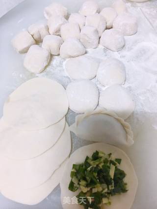 韭菜鸡蛋豆皮馅饺子的做法步骤：10