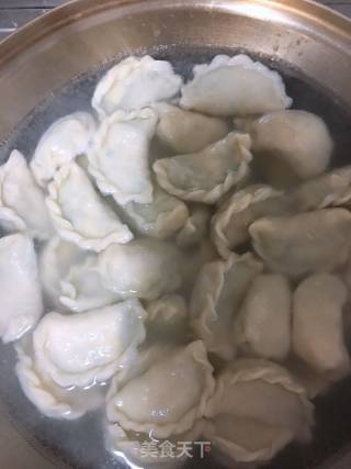 韭菜鸡蛋豆皮馅饺子的做法步骤：12