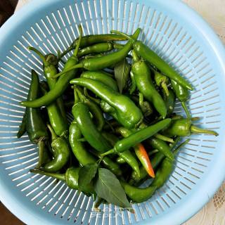 青椒肉片的做法步骤：1
