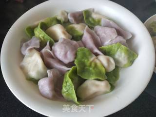 三色饺子的做法步骤：5