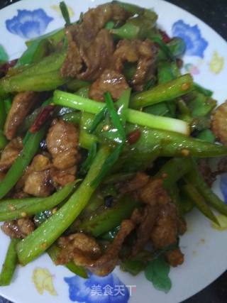辣椒炒肉的做法步骤：8